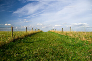 fence in the field