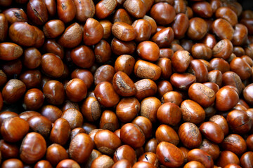 Close up of ripe chestnuts, Raw chestnuts in oven, Concept image of the process of roasted chestnuts in Chinatown. Hi carbohydrate food and nutrient.