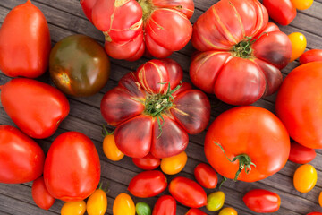 different varieties of ripe red and yellow appetizing tomatoes