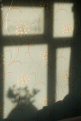 window frame shadow