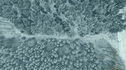 Weg  durch  die Winterlandschaft