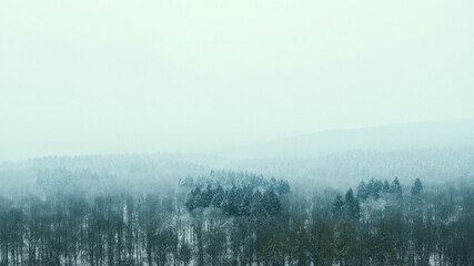 Winter  - Waldlandschaft