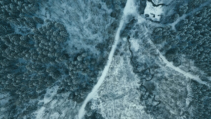 Winter  - Waldlandschaft