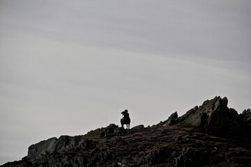 Kazakh nomads culture and lifestyle