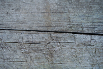 Fototapeta premium Background with the texture of an Old Gray Tree