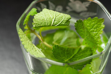 アップルミント