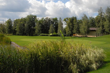 green field and blue sky