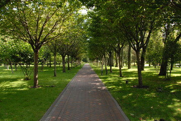 alley in the park