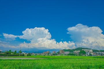 日本の夏と田舎と入道雲ある街並み