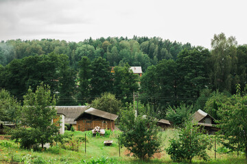 Fototapeta na wymiar house in the woods. beautiful nature on the horizon. hilly surface in greenery