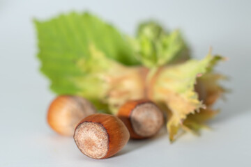 Group of hazelnuts with green leaves isolated on white background. Corylus.