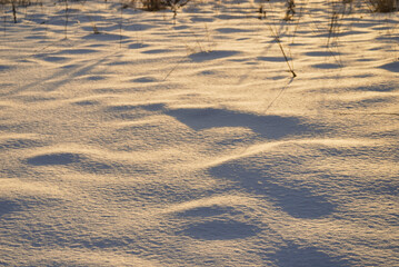 冬　雪　夕暮れ　枯れ草　素材