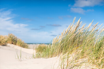 Dünen an der dänischen Nordseeküste