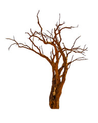 Talampaya National Park, La Rioja, Argentina