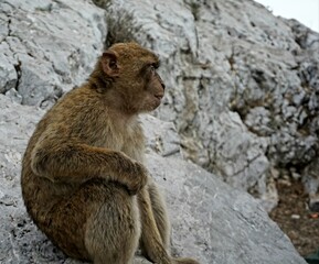 Gibraltar Great Britain