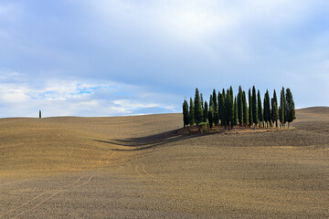 Obraz premium Landscape of autumn field with cypresses in Tuscany, Italy