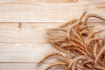 Wheat ear. Whole, barley, harvest wheat sprouts. Wheat grain ear or rye spike plant on wooden...