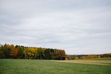 Laubbäume im Herbst