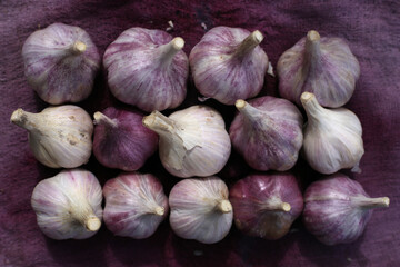 Varietal natural garlic, white and purple heads, top view.