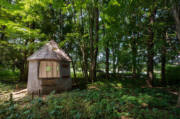 Fototapeta na wymiar 森の中の小人が住んでいそうなメルヘンチックな小屋