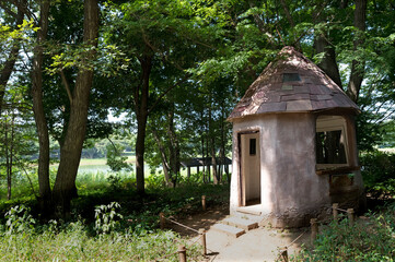 森の中の小人が住んでいそうなメルヘンチックな小屋