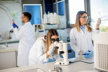 Fototapeta premium Group of young researchers analyzing chemical data in the laboratory