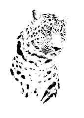 simple leopard illustration © Ministry of Graphics