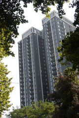Modern skyscrapers view through tree branches. Modern multistory buildings.