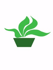 an illustration of a plant on a pot in white background