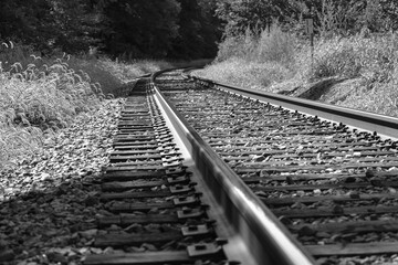 railroad tracks in the forest