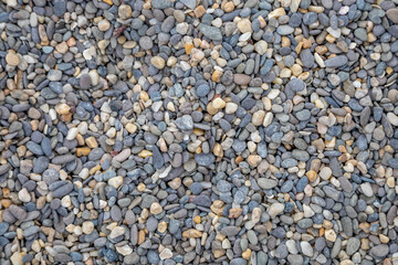 pebble texture on the beach. gray-white stones
