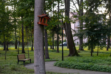 bird house on a tree in the park 