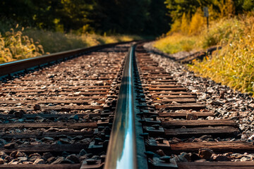 railroad tracks in the forest