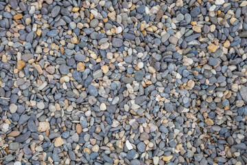 pebble texture on the beach. gray-white stones