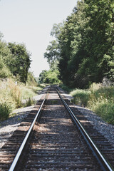 railroad tracks in the forest