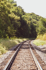 railroad in the forest