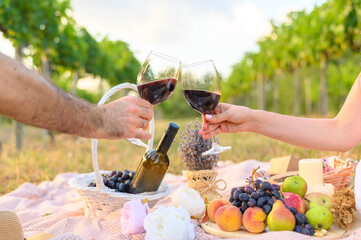 Man and woman hands with two glasses of wine toast at the picnic outdoors. Beautiful summer backgrounds