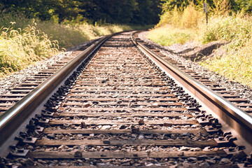 railroad tracks in the forest