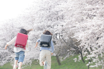 桜並木を走る小学生の後ろ姿