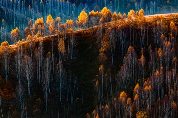 Herbst Hintergrund bunte Bäume in der Landschaft © Melinda Nagy