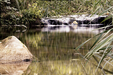 cascadas de río a través del bosque