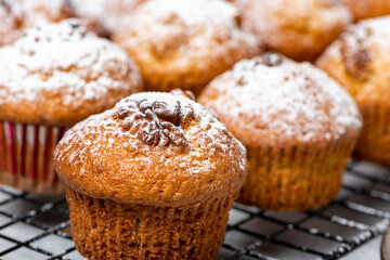 Freshly baked pumpkin muffins and walnuts, cinnamon and nutmeg. Autumn or winter food. Sweet seasonal pumpkin baked goods.