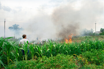 Obraz premium young man puts out a fire with a hose near the corn. trees on the background. ecological catastrophy. black smoke.