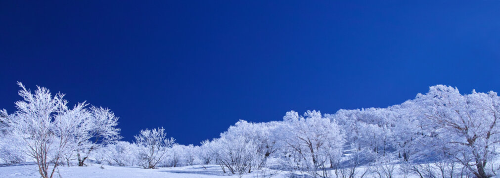 雪景色Images – Browse 120,367 Stock Photos, Vectors, and