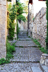 Fototapeta na wymiar Vaison-la-romaine. Cité médiévale. Medieval city. South of fFrance. Provence. Vaucluse..