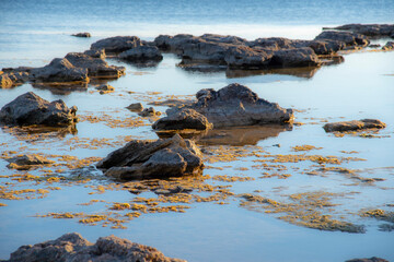 Obraz premium Dark textured rocks and seaweed on the blue surface of the sea.