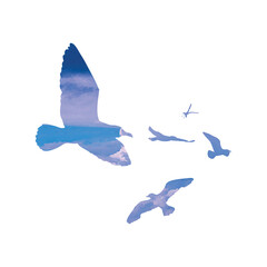 Naklejka premium Watercolour silhouette of flying birds seagulls on white background. Inspirational body or flesh ink tattoo design of sea birds. Vector.
