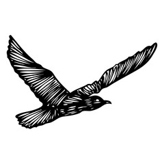 Seagulls bird, nautical sailor tattoo sketch. Black stroke of flying sea gull silhouette on white background. Marine drawings shape of water bird in vector.