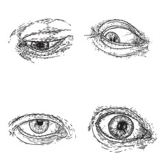 Set of various drawing of the human eye in different direction and emotion. All seeing eye, the symbol of the Masons as an option design element. Man vision. Vector.