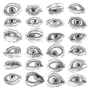 Expressive eye and brow with lashes image set with different mood and directions. Design element for vision or character design. Hand drawing for beauty salon,  tattoo design, or characters. Vector.